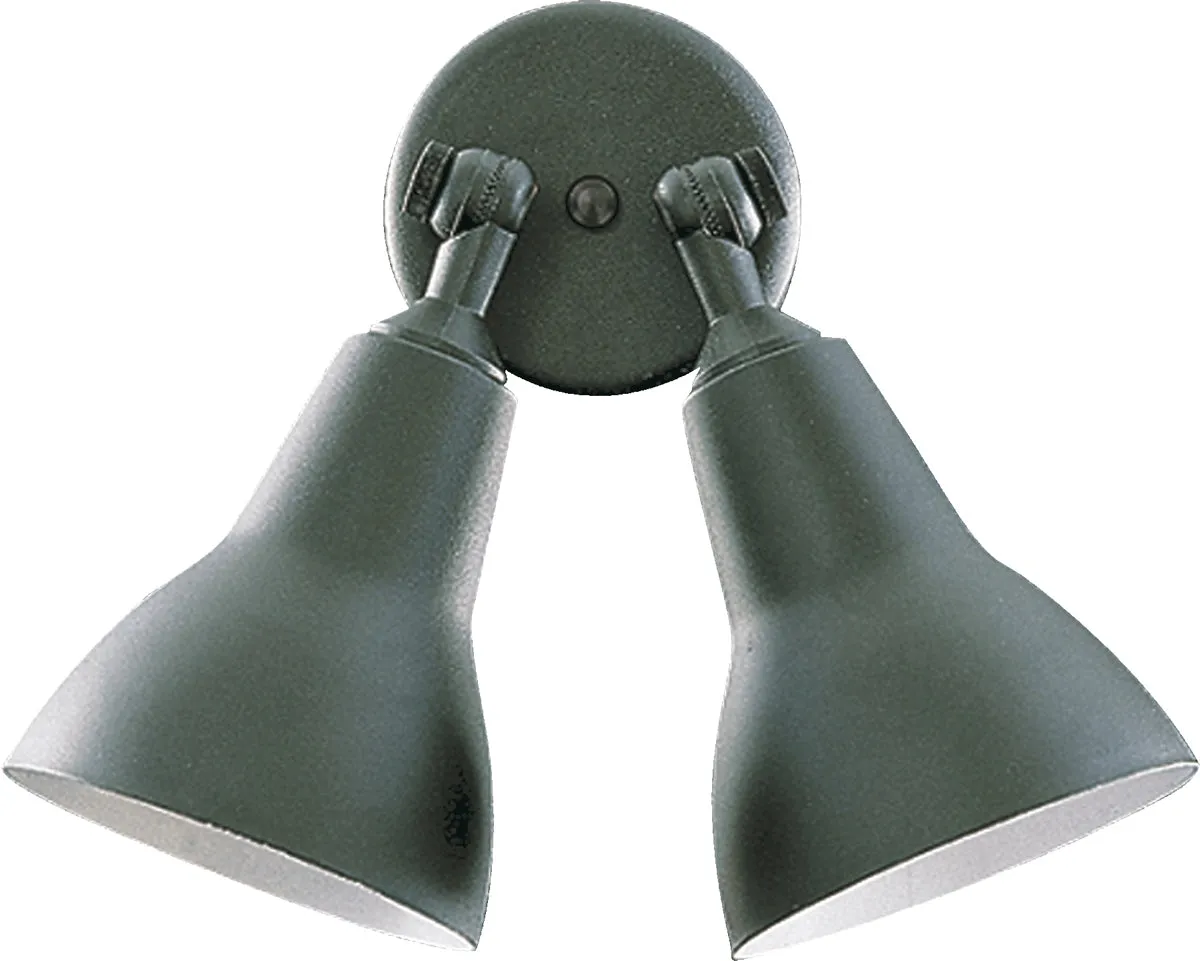 2-Light PAR Flood Light