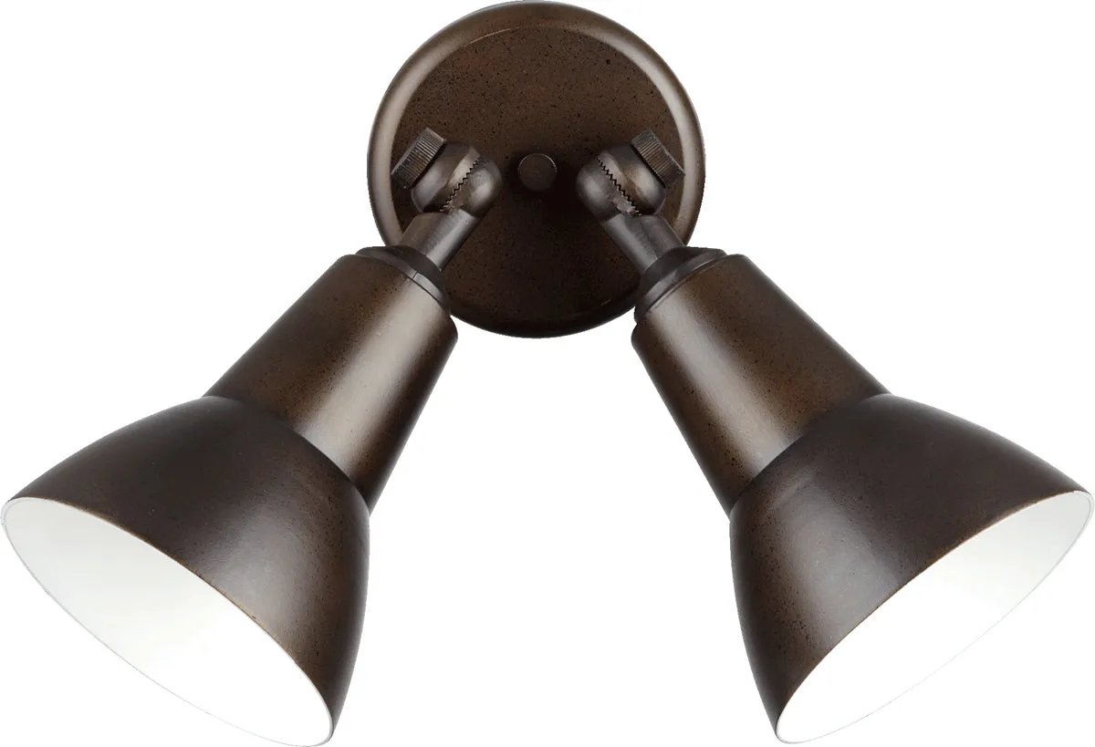 2-Light PAR Flood Light
